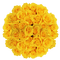 Yellow Rose Bouquet