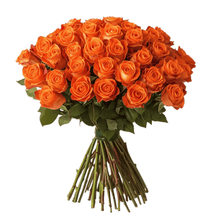 Orange Rose Bouquet