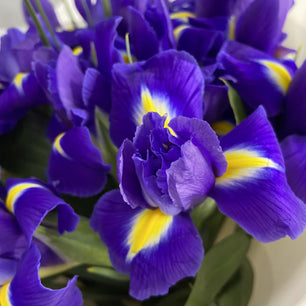 Iris Bouquet