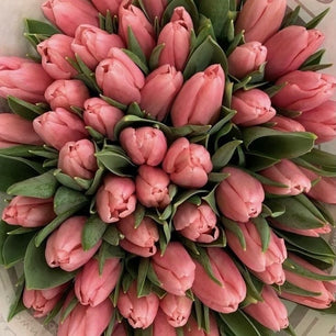 Pink Tulip Bouquet